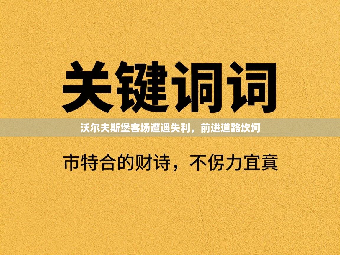 沃尔夫斯堡客场遭遇失利，前进道路坎坷