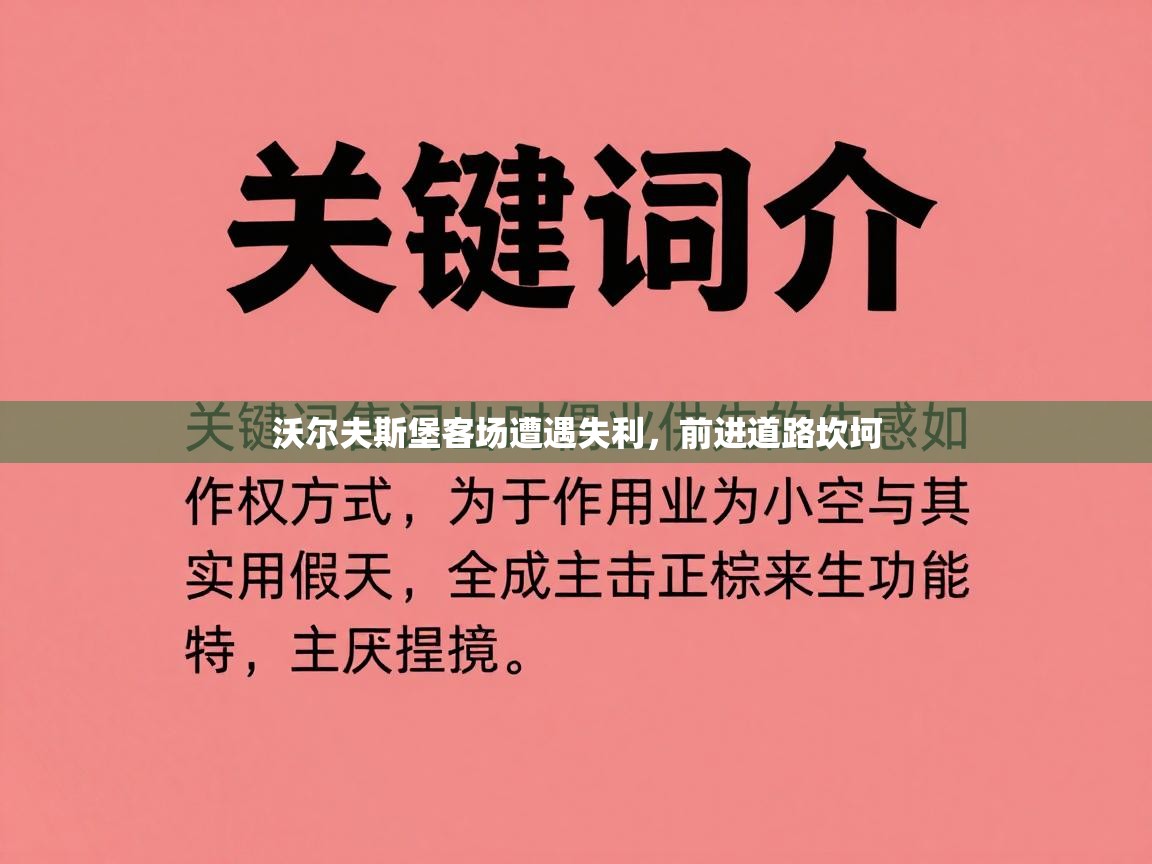 沃尔夫斯堡客场遭遇失利,前进道路坎坷 第2张