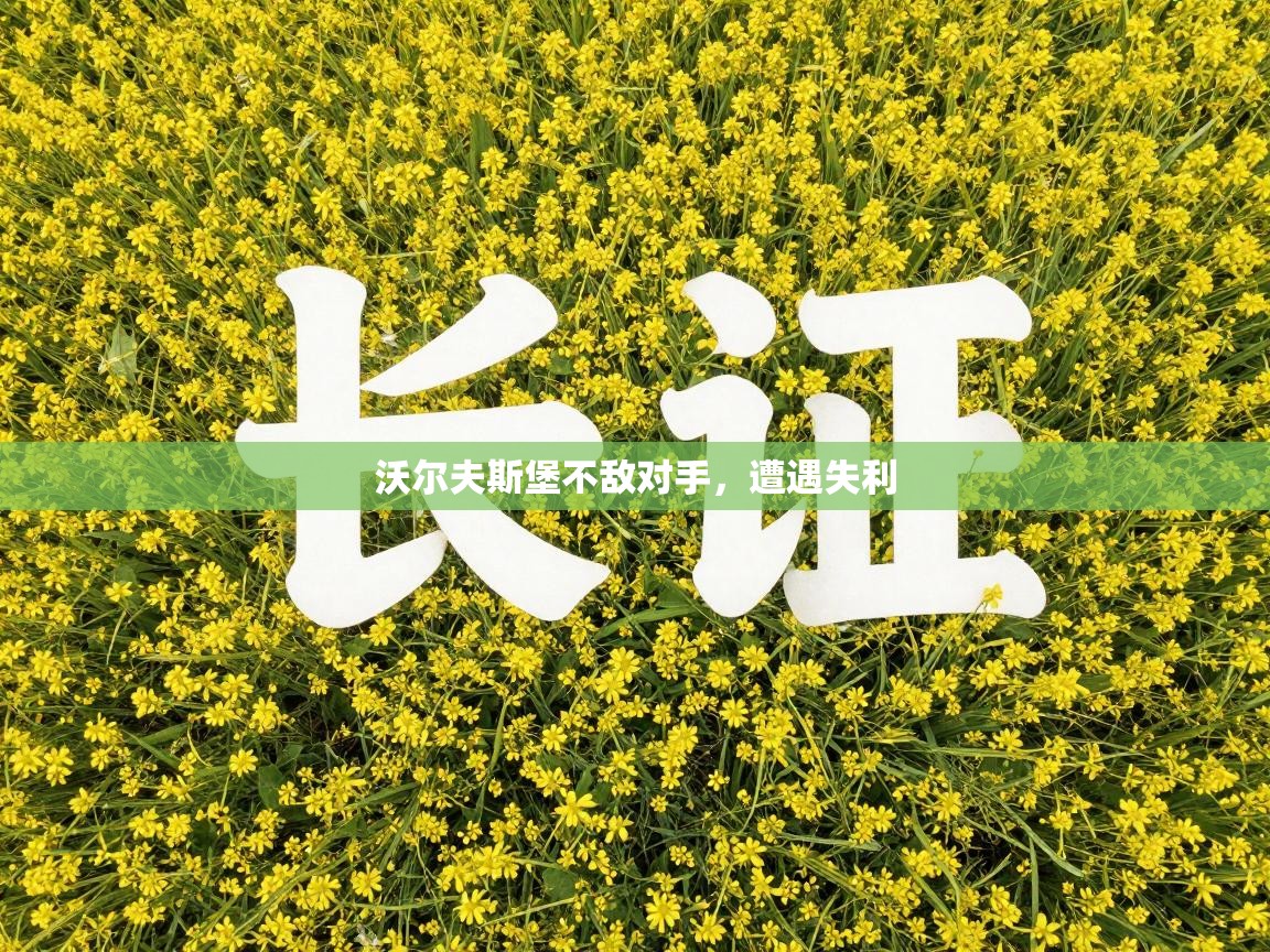 沃尔夫斯堡不敌对手，遭遇失利