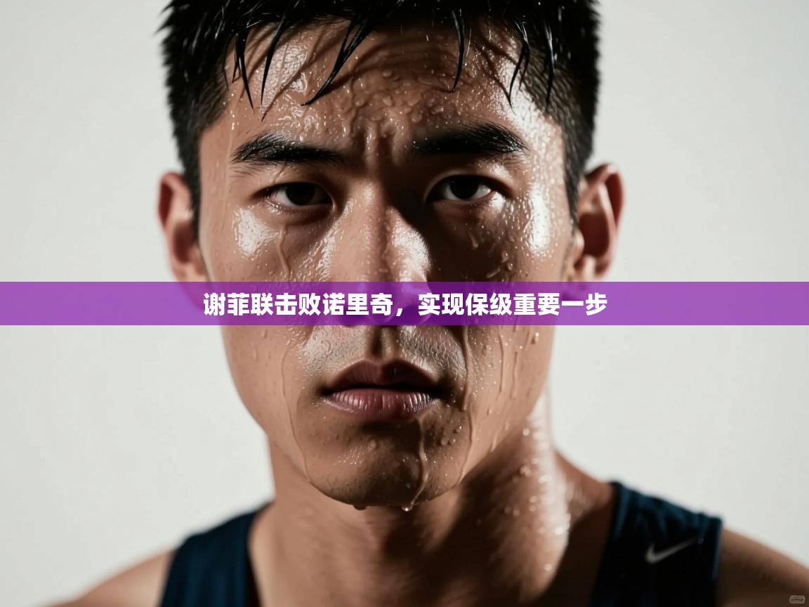 谢菲联击败诺里奇，实现保级重要一步