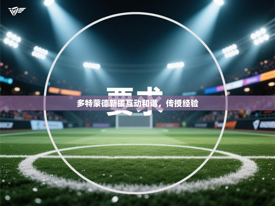 多特蒙德新援互动和谐，传授经验  第2张